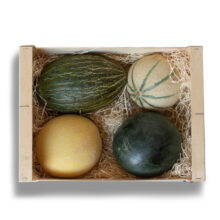 01 melones eco valencia