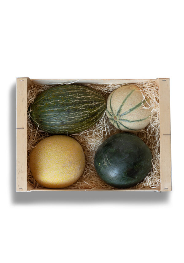 01 melones eco valencia