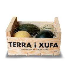 02 melones eco valencia