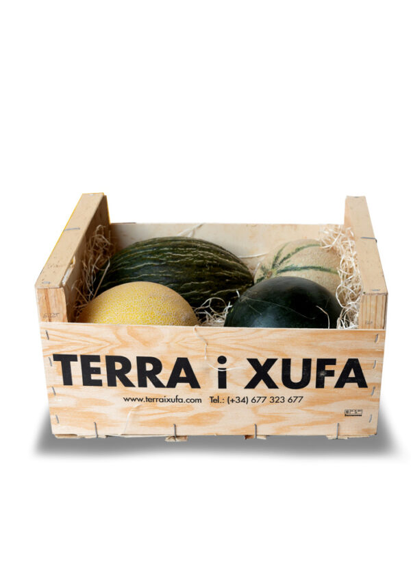 02 melones eco valencia