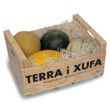 03 melones eco valencia